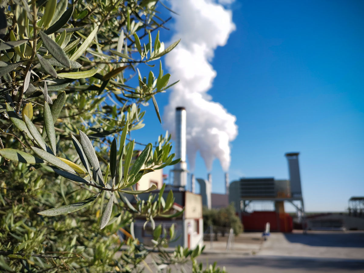 sostenibilidad energetica industria alimentaria