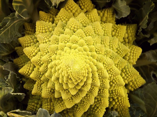 romanescu coles dieta