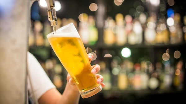 estudio CSIC sobre cerveza beneficios para salud